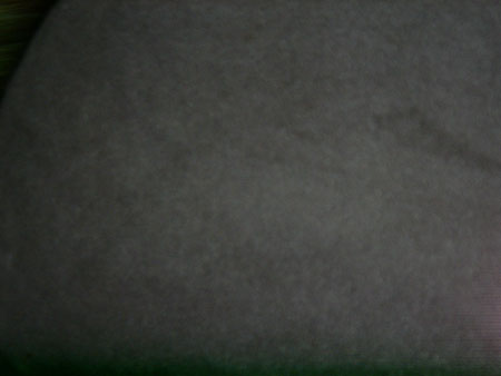 DSC01339